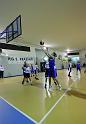 Basket 242067